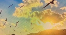 西甲焦点战：毕尔巴鄂竞技对阵赫罗纳，状态分析及快速反击对决